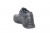 BAAS 1650-1